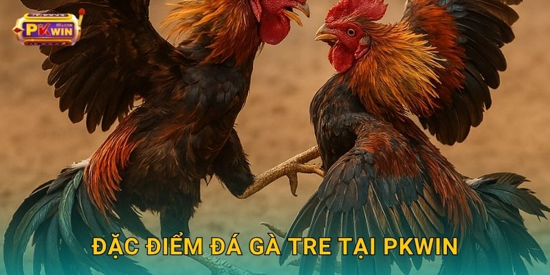 Đặc điểm đá gà tre tại Pkwin